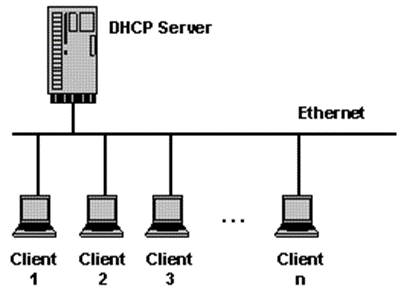 Bildliche Darstellung eines DHCP-Servers